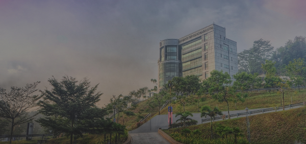 玛拉工艺大学的研究和开发
